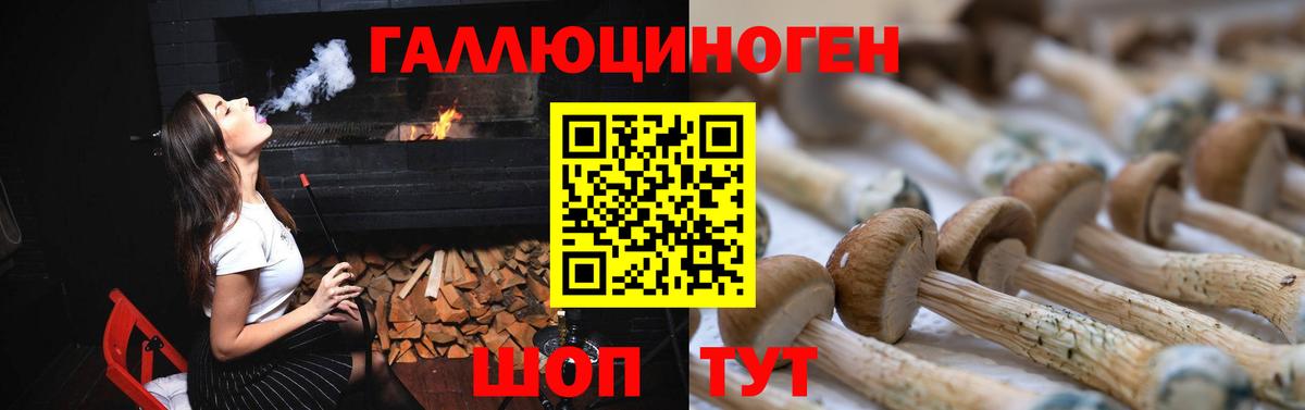 Карачаевск  Галлюциногенные грибы мицелий  Вход с VPN 
